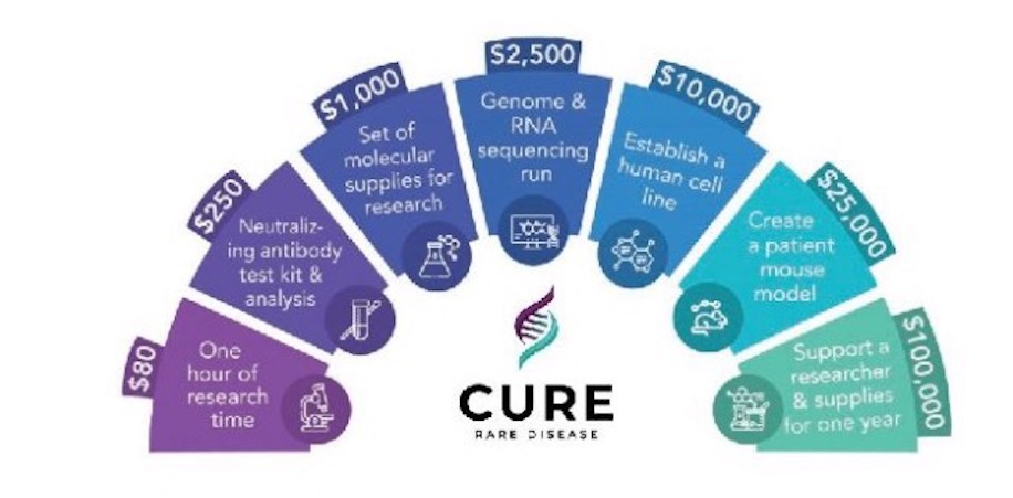 Drug Development Cycle